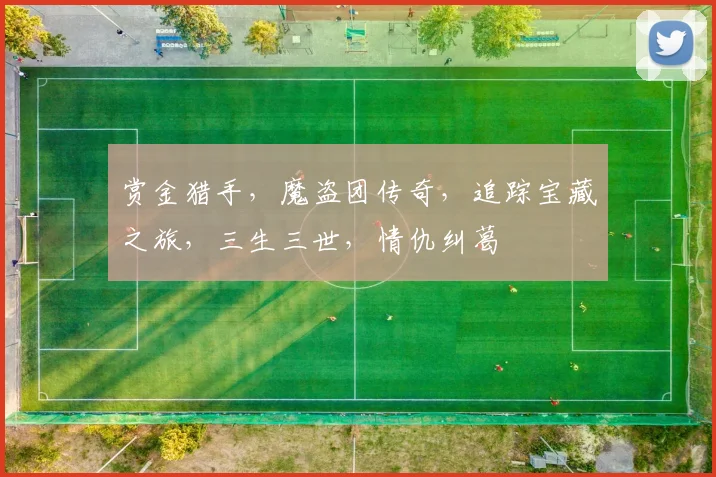 赏金猎手，魔盗团传奇，追踪宝藏之旅，三生三世，情仇纠葛