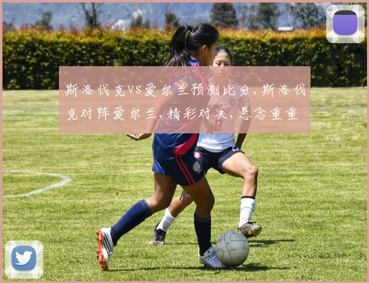 斯洛伐克vs爱尔兰预测比分,斯洛伐克对阵爱尔兰,精彩对决,悬念重重,谁能问鼎胜利