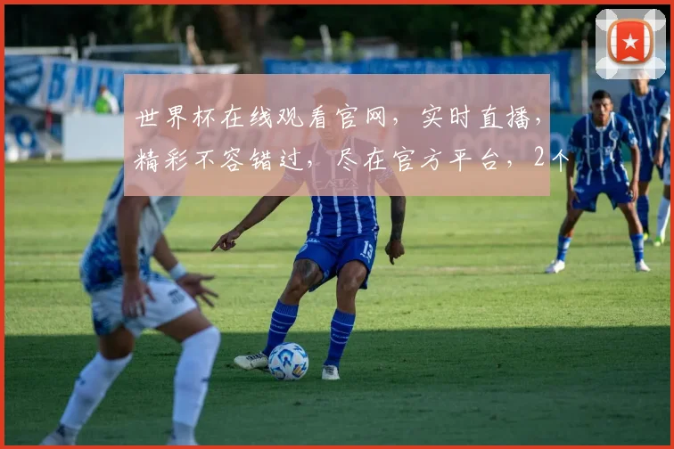 世界杯在线观看官网，实时直播，精彩不容错过，尽在官方平台，2个球场，2种激情