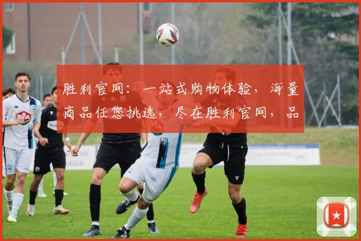 胜利官网：一站式购物体验，海量商品任您挑选，尽在胜利官网，品质生活从这里开始