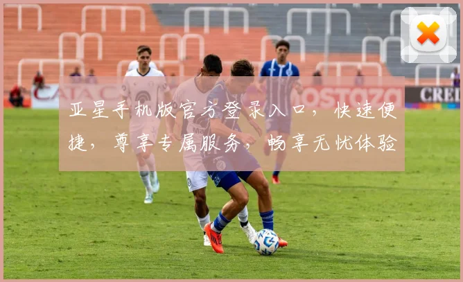 亚星手机版官方登录入口，快速便捷，尊享专属服务，畅享无忧体验，立即访问