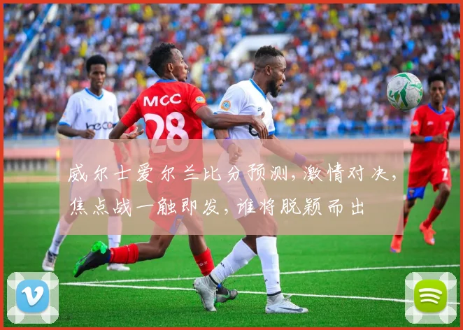 威尔士爱尔兰比分预测,激情对决,焦点战一触即发,谁将脱颖而出